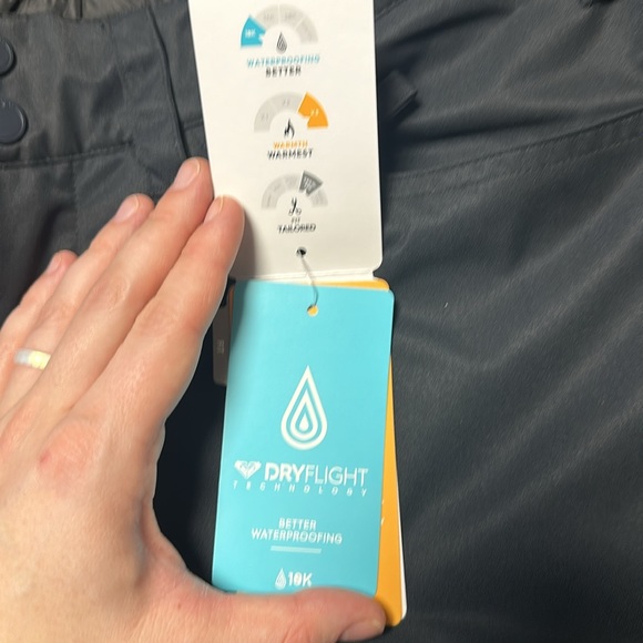 Roxy Women's Backyard Ski Pants - Picture 6 of 10